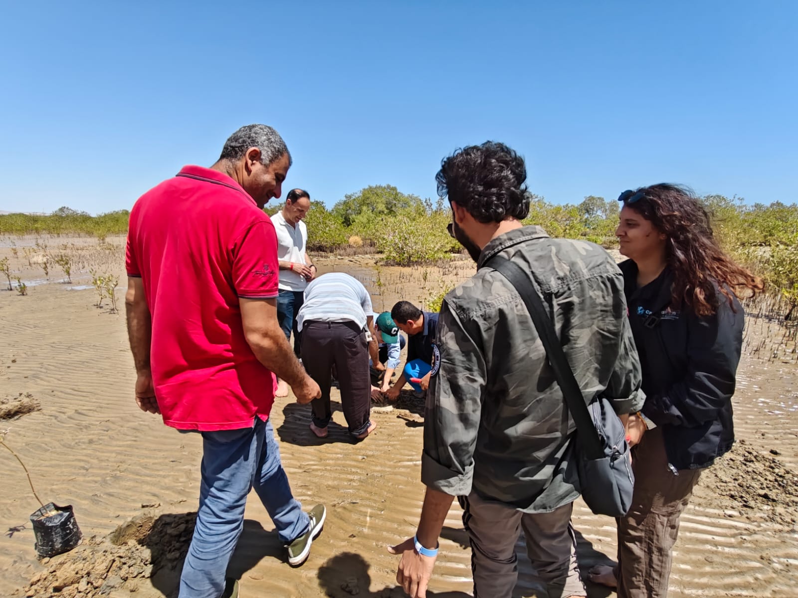Coastal Ecosystem